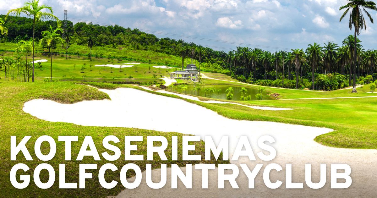 seriemas-hero-ddda069a